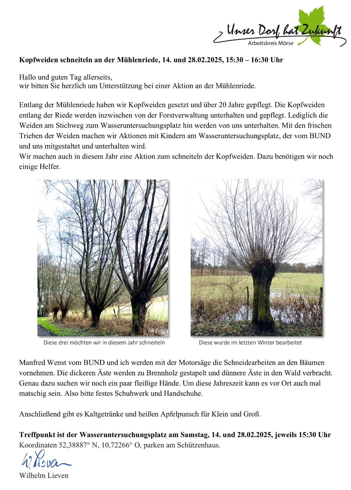 Kopfweiden schneiteln an der Mühlenriede